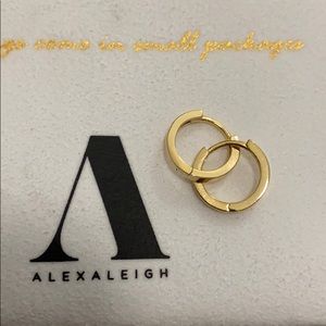 Alexa Leigh Gold Filled Huggie Hoops